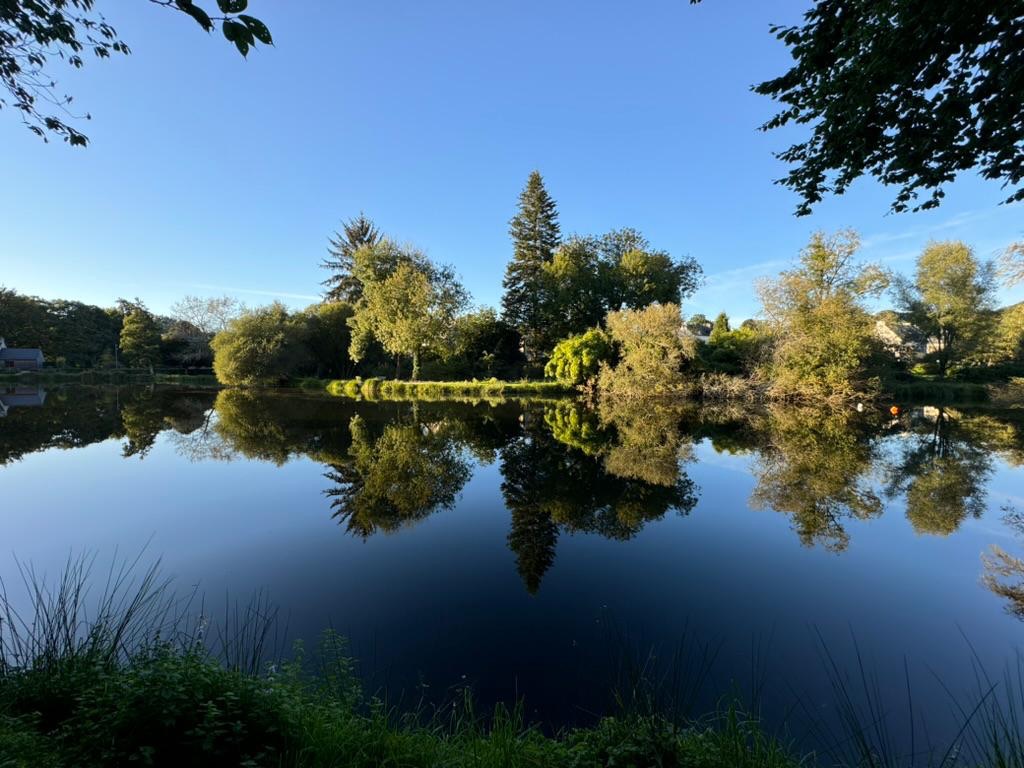 Bilan Environnement et Cadre de vie